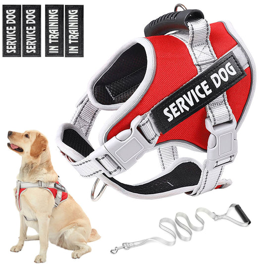 Reflective No-Pull Dog Harness Set | Adjustable Vest with Leash