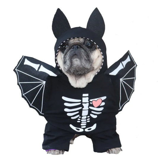 Bat Dog Costume | Halloween Black Bat Wings for Dogs & Cats