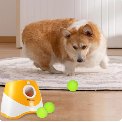 Automatic Dog Ball Launcher | Interactive Fetch Toy
