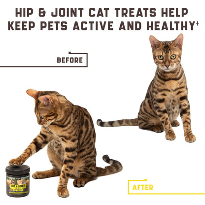 Natural Glucosamine for Cats | Joint & Hip Support Supplement for Mobility