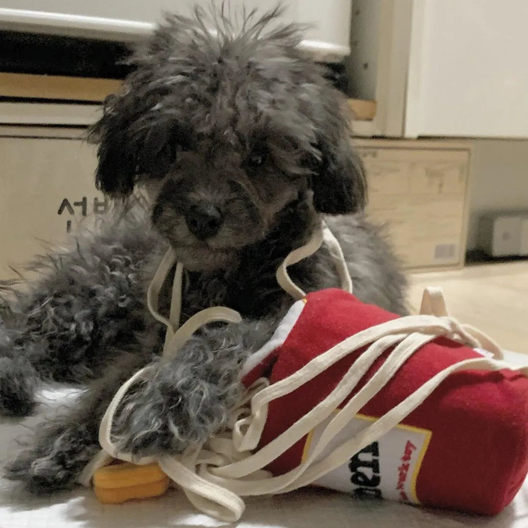 Ramen Snuffle Toy for Dogs | Interactive Treat Puzzle & Sniffing Enrichment