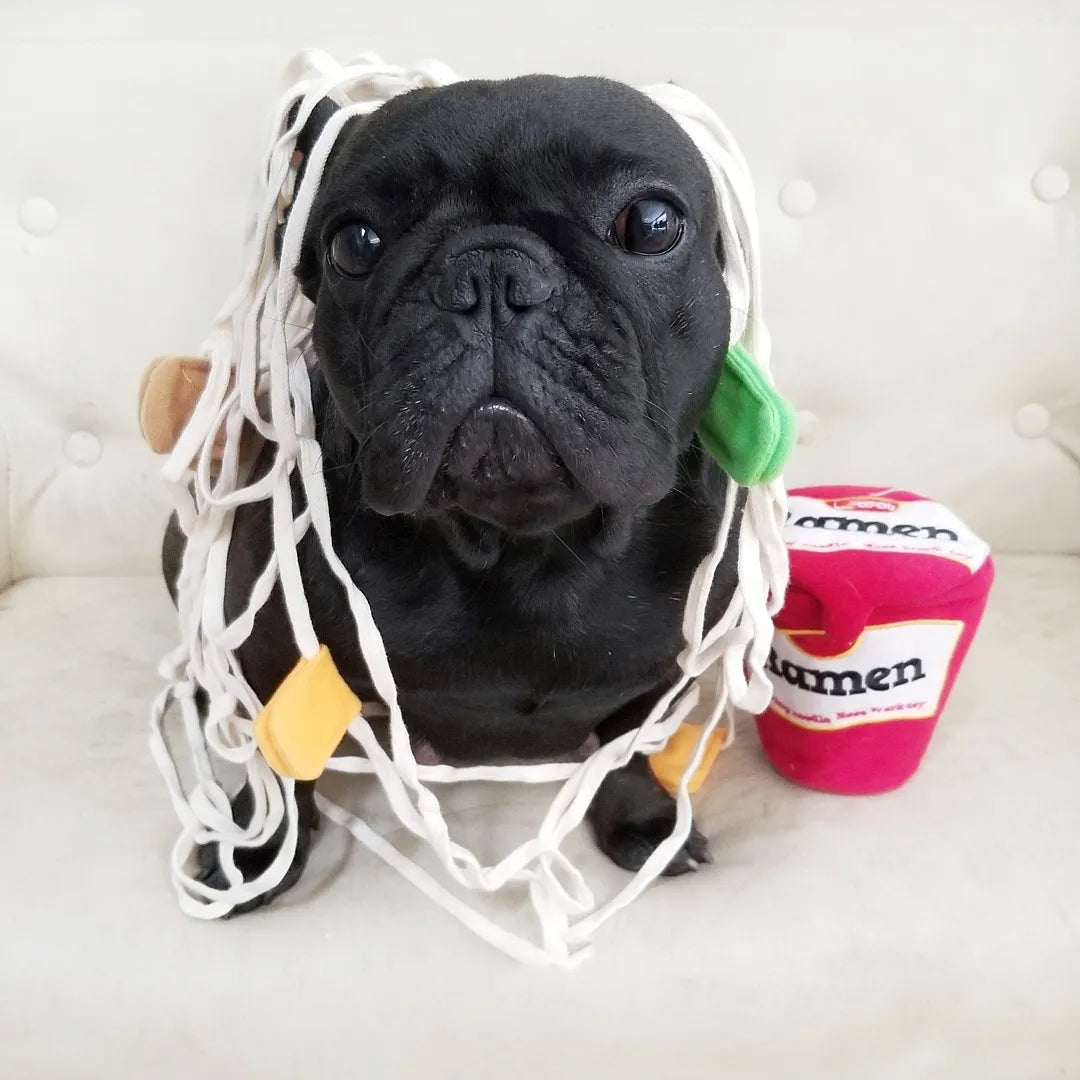 Ramen Snuffle Toy for Dogs | Interactive Treat Puzzle & Sniffing Enrichment