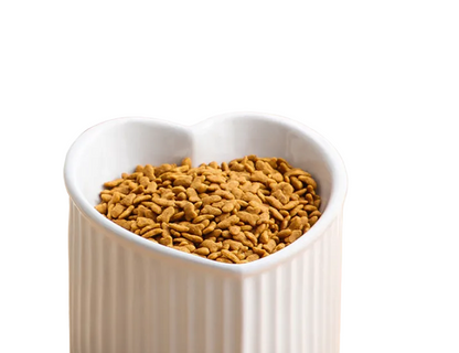 Heart-Shaped Ceramic Pet Bowl | Elevated Tilted Food & Water Bowl