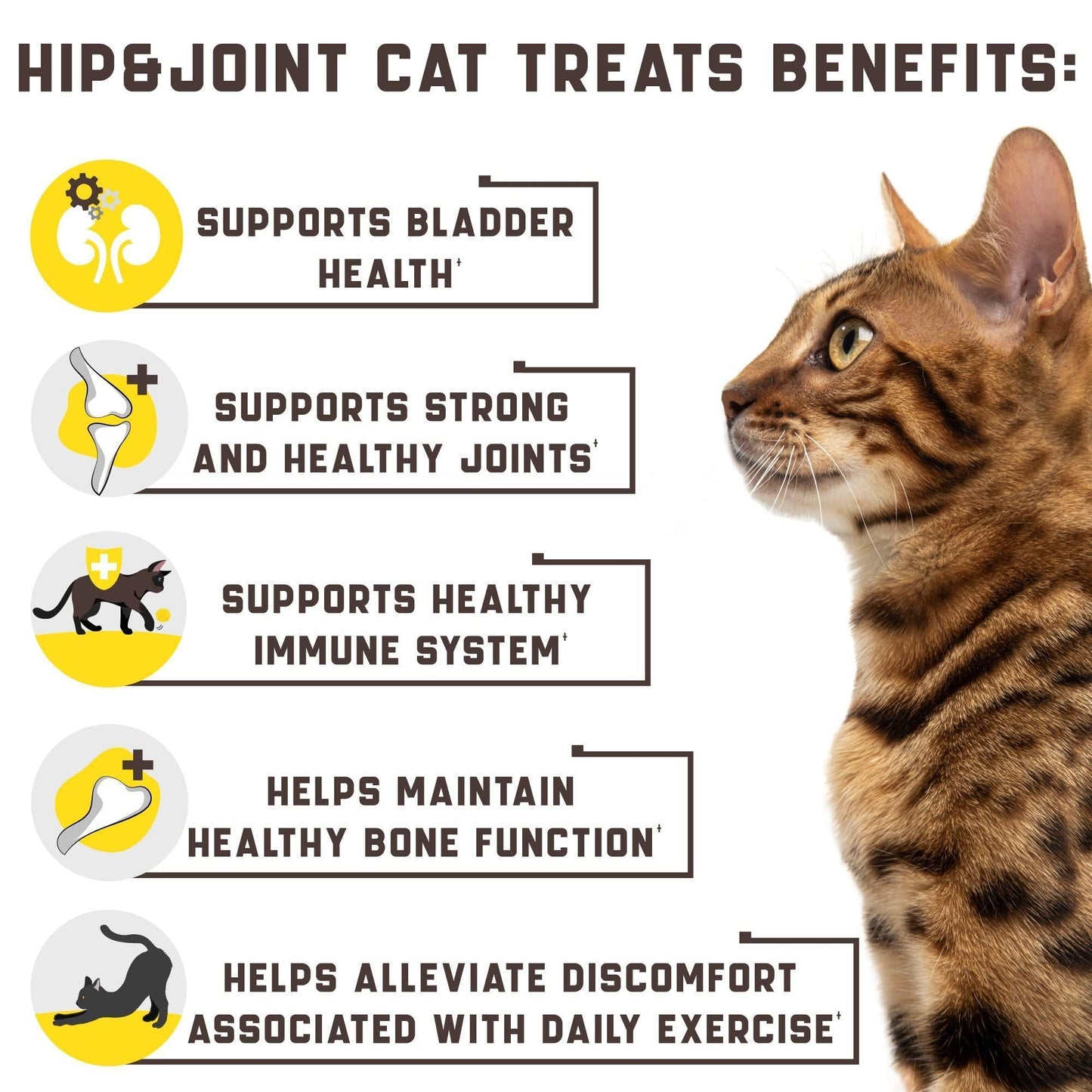 Natural Glucosamine for Cats | Joint & Hip Support Supplement for Mobility