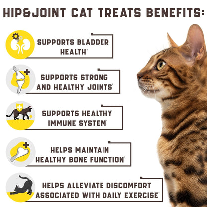 Natural Glucosamine for Cats | Joint & Hip Support Supplement for Mobility