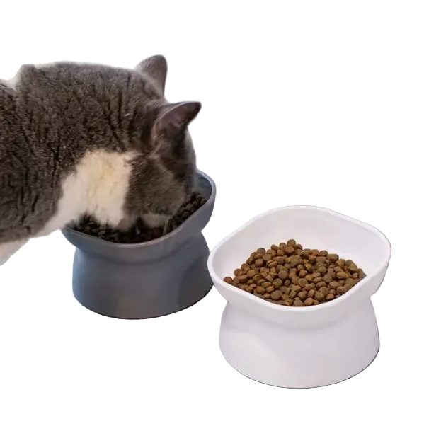 15° Tilted Pet Bowl | Elevated Food & Water Bowl for Dogs & Cats