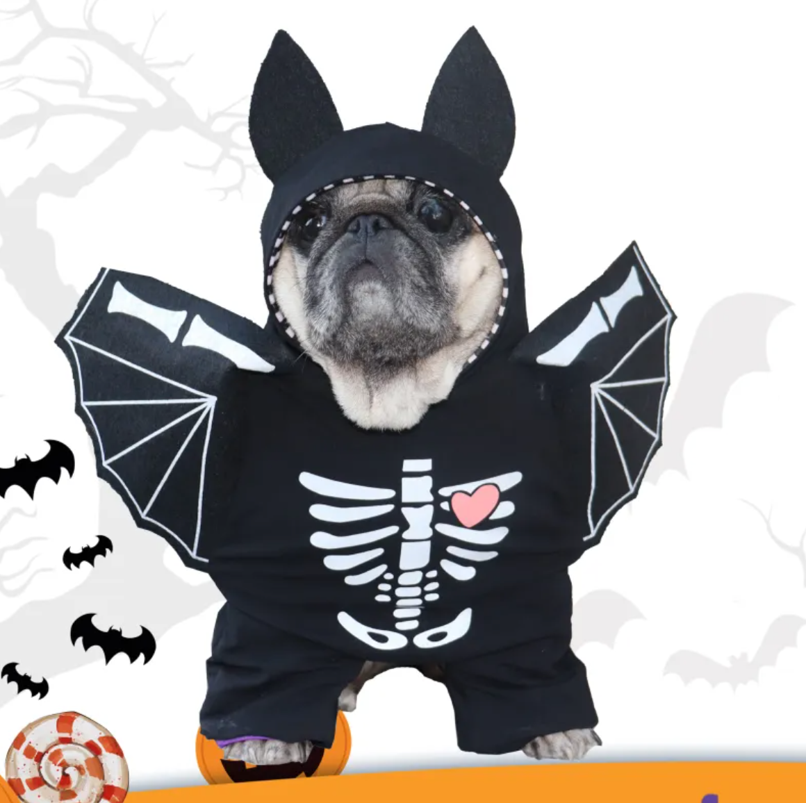 Bat Dog Costume | Halloween Black Bat Wings for Dogs & Cats